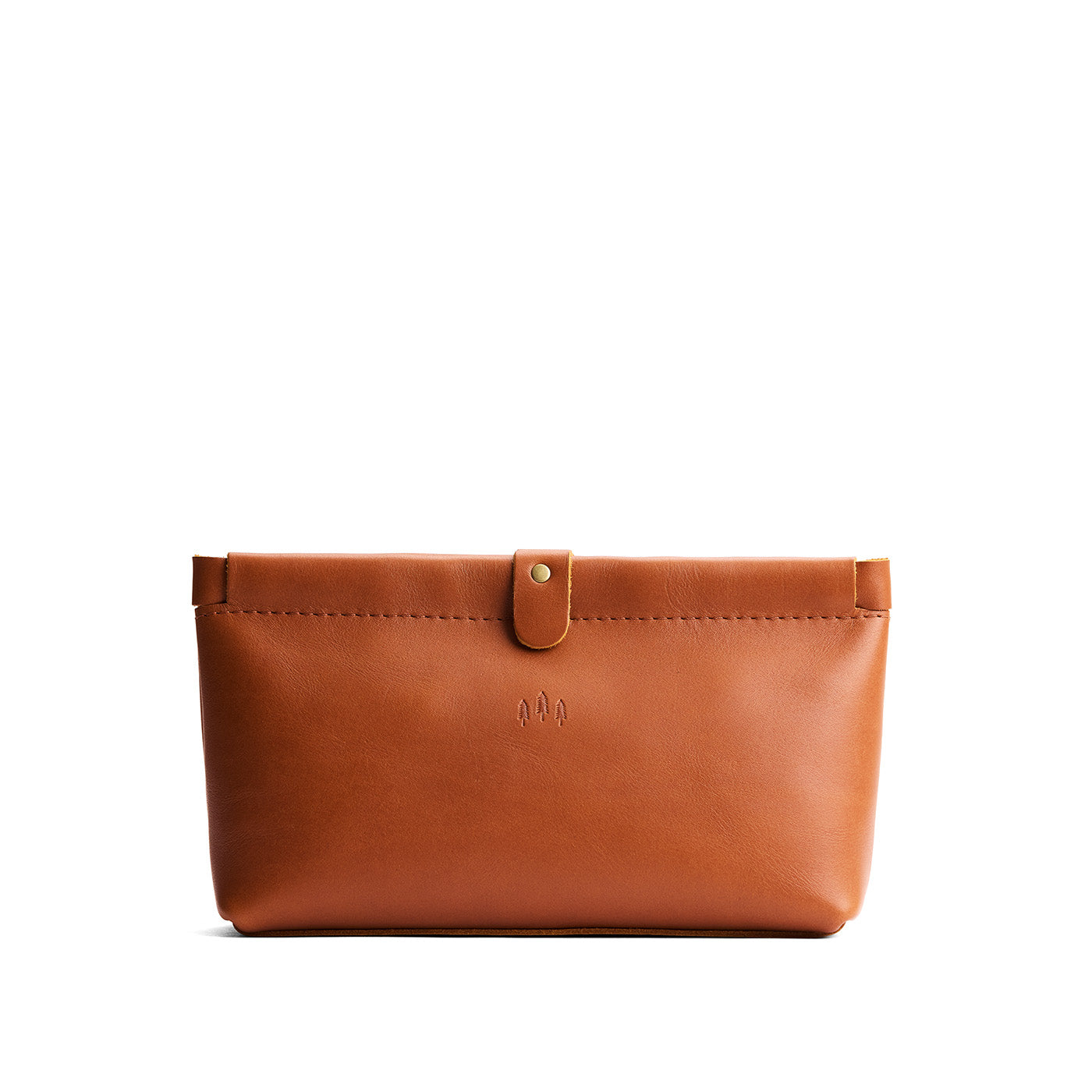 Famed Framed Pouch