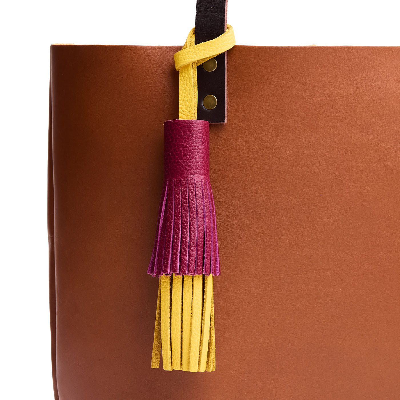 Multicolor Tassel