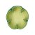 Shadow Lime
